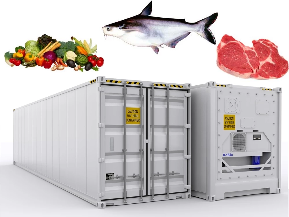 Dịch vụ cho thuê container lạnh tại Hải Dương – Hải Phòng | Uy tín – Chất lượng – Giá tốt